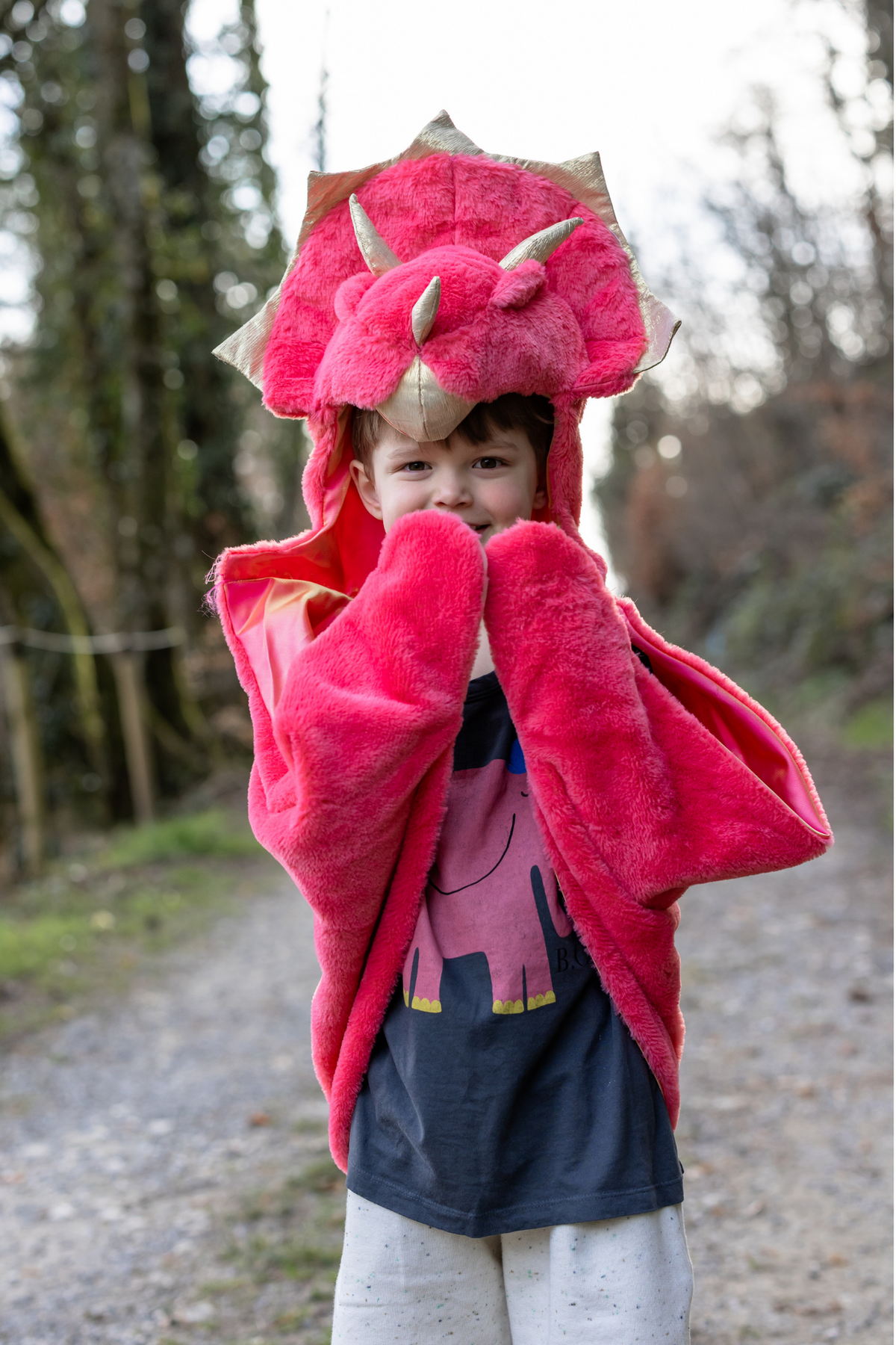 Triceratops Cuddle Cape, Red