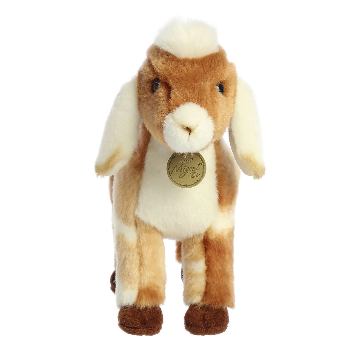 Miyoni Tots - 11 Nubian Goat Kid