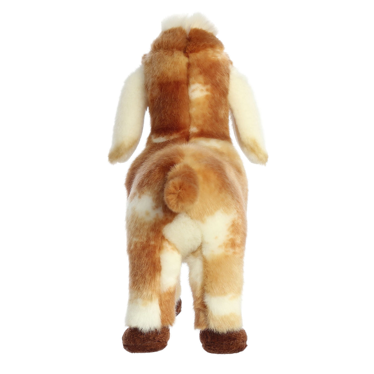 Miyoni Tots - 11 Nubian Goat Kid