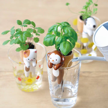 Shippon Grow Kit