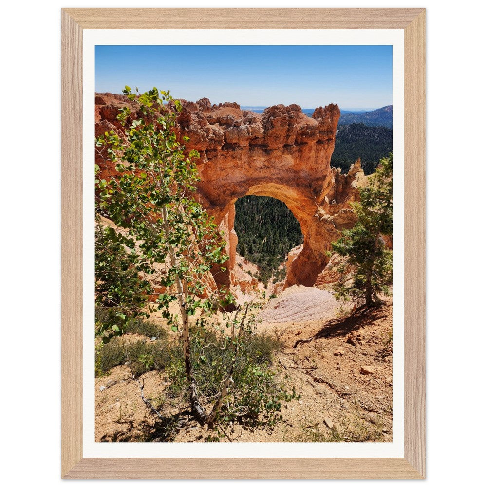 Limited Edition Bryce Canyon Prints - Only 50 Available! Natural Beauty of Bryce Canyon
