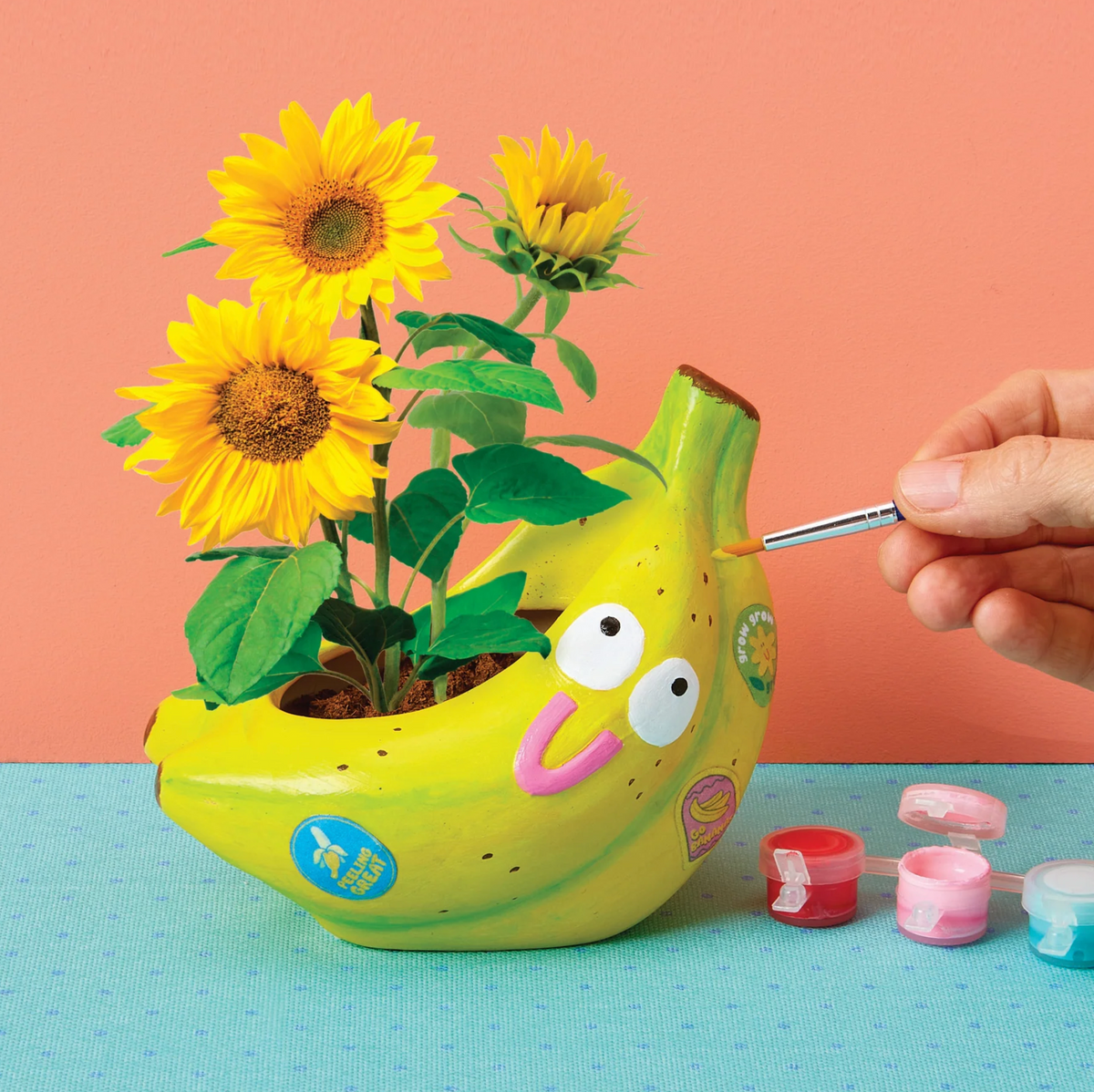 Paint & Grow