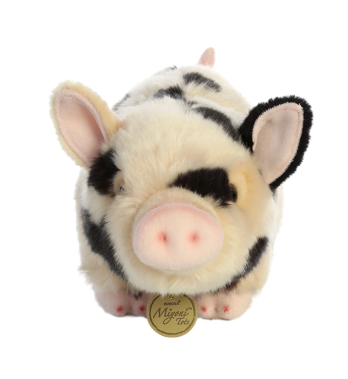11 Pot-Bellied Piglet Spotted