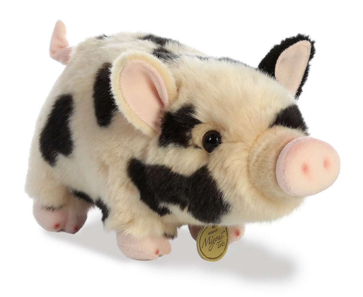 11 Pot-Bellied Piglet Spotted