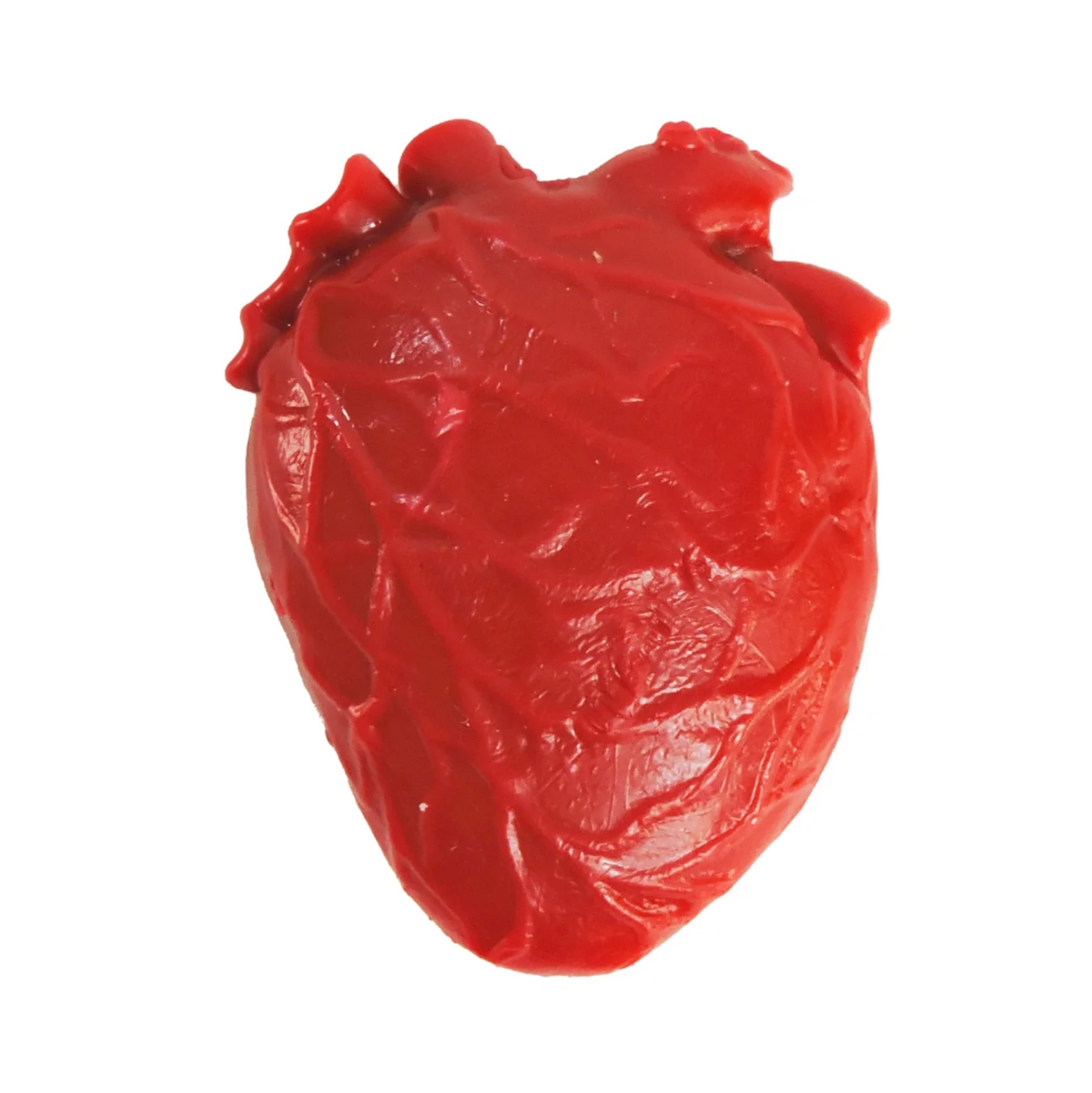 Teeny Tiny Vital Organ