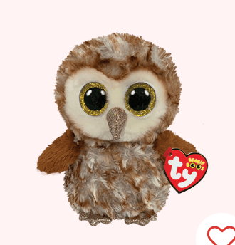 PERCY - Barn Owl