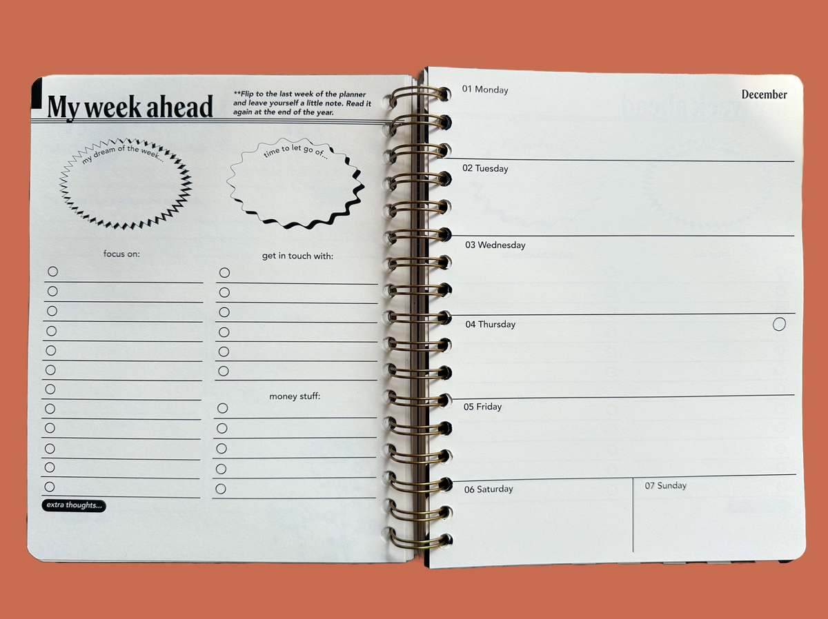 Undated Flexible Planner, Seeing Eye Cover