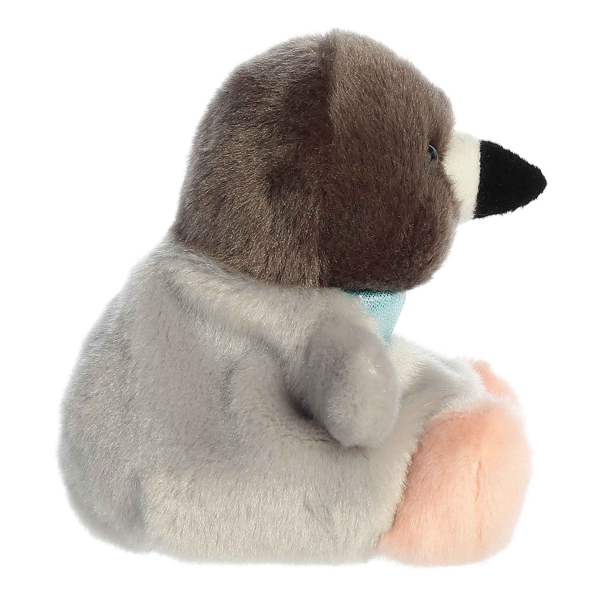 5 Crumbs Pigeon Palm Pal
