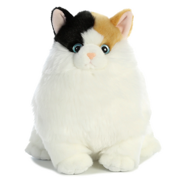 9.5 Munchy Calico