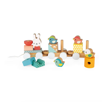 Pure Train Pull Along 17 Pieces