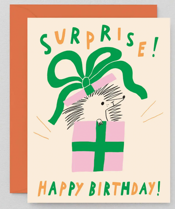 Surprise Happy Birthday Kids Card