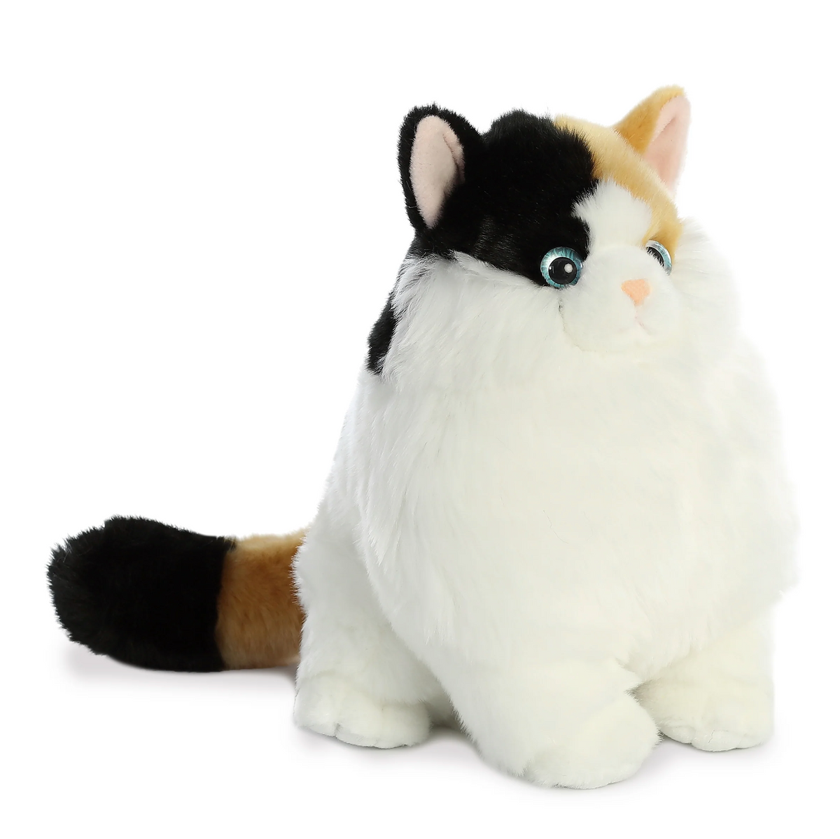 9.5 Munchy Calico
