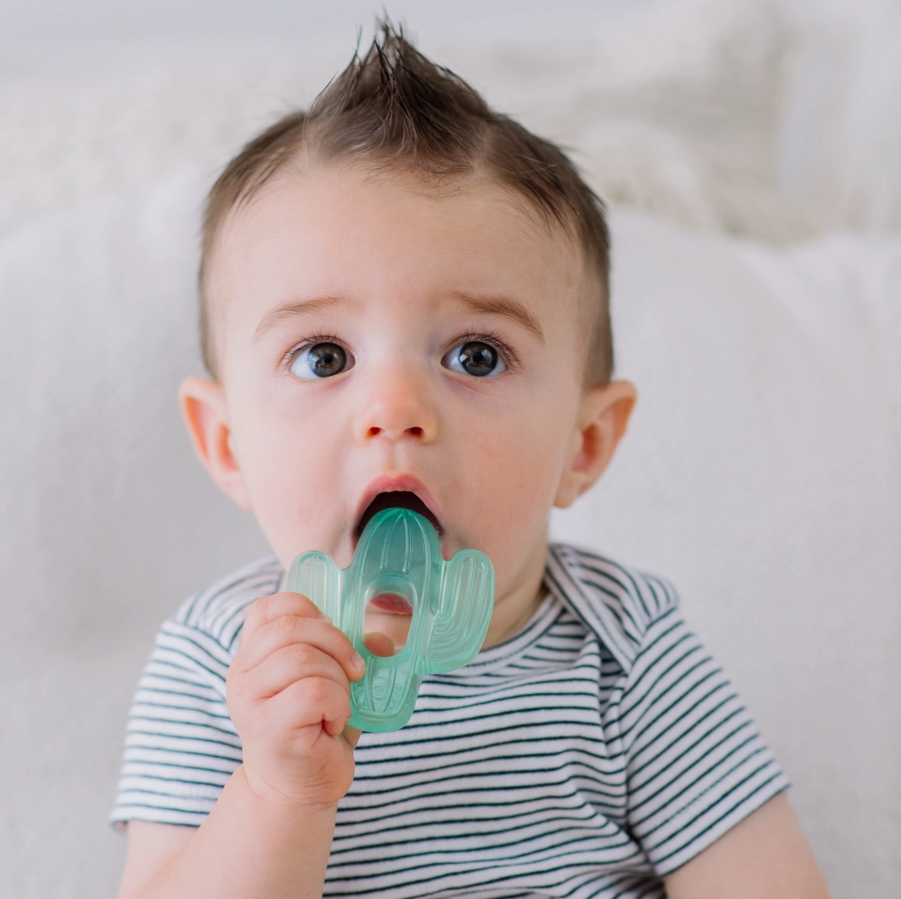 Cutie Coolers? Water Filled Teethers (3-pack) Cactus